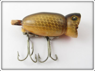 Arbogast Brown Scale Hula Popper