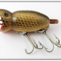 Arbogast Brown Scale Hula Popper