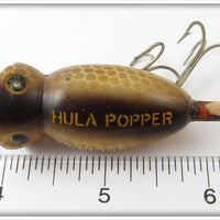 Arbogast Brown Scale Hula Popper