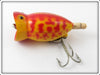 Arbogast Red Coachdog Hula Popper