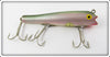 Shakespeare Paw Paw Shad Dragon Fly In Box