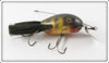 Vintage Creek Chub Perch Dingbat Lure