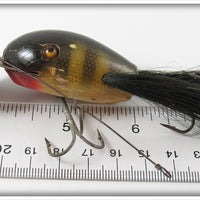 Creek Chub Perch Dingbat