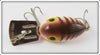 Arbogast Brown Crayfish Arbo-Gaster