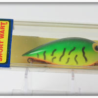 Vintage Storm Hot Tiger Short Wart Lure In Box