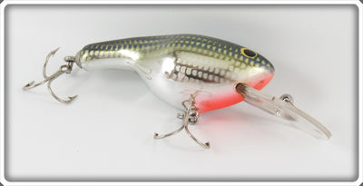 Vintage Bagley Flash Crippled Shad On Silver Mama Cat Lure
