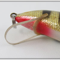 Bagley Black Stripes On Gold Foil Bang O Lure
