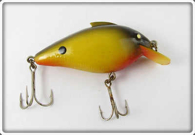 Red River Big R Pregnant Guppy