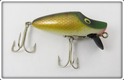 Hong Kong Perch River Runt Type