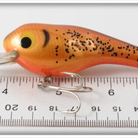 Bagley Pumpkin Seed ET 3