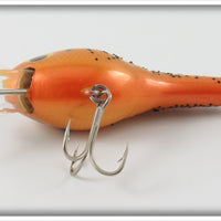 Bagley Pumpkin Seed ET 3