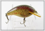 Rebel Naturalized Brown Trout Wee R
