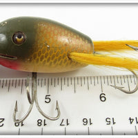 Creek Chub Golden Shiner Dingbat