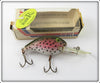 Rebel Rainbow Trout Deep Wee R In Box