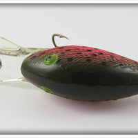 Rebel Rainbow Trout Deep Wee R In Box