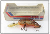 Rebel Brown Orange Belly Crawfish In Box