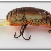 Rebel Brown Orange Belly Crawfish In Box