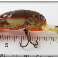 Rebel Brown Orange Belly Crawfish In Box