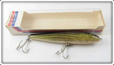 Rebel Naturalized Striped Bass Jumpin Minnow In Box