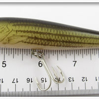 Rebel Naturalized Striped Bass Jumpin Minnow In Box