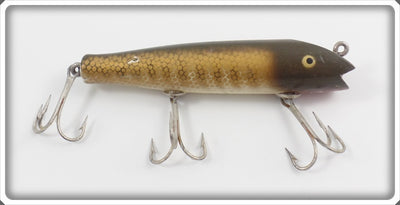 Creek Chub Pikie Scale Darter