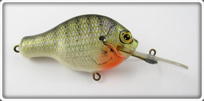 Bagley Diving Small Fry Bream