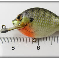 Bagley Diving Small Fry Bream