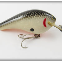 Bagley Black On White Divin' B