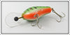 Bagley Green Crayfish On White Divin' B
