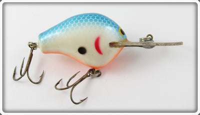 Bagley Blue On White Divin' B