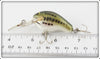 Bagley Little Bass On White Honey B