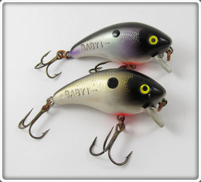 Mann's Golden Shiner & Purple Shiner Baby 1- Pair