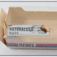 Rebel Naturalized Bass Minnow In Box