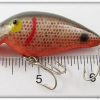 Rogers Red Scale Black Back Big Jim In Box