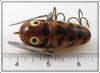 Heddon BRS Brown Crawdad Crazy Crawler
