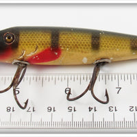 Creek Chub Perch Pikie