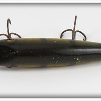 Creek Chub Perch Pikie