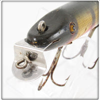 Creek Chub Perch Pikie