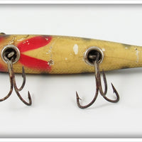 Creek Chub Perch Pikie