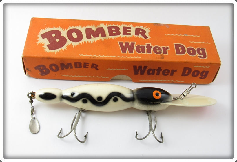 Bomber White Black Shadow Stripe Water Dog In Box