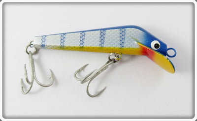 Unknown Blue Perch Minnow