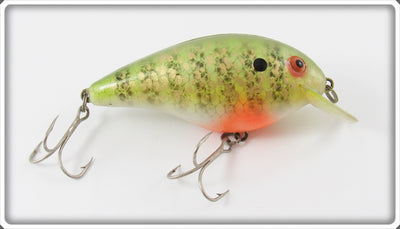 Vintage Bill Lewis Perch Big L Lure
