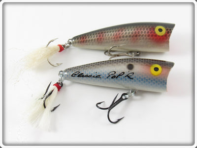 Rebel Blue Scale & Grey Scale Classic Pop R Pair