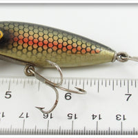 Meadow Brook Red Side Chub Baby Pikie