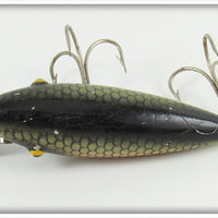 Meadow Brook Red Side Chub Baby Pikie