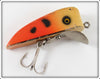 Bob's Fly Tying Shop Orange Spotted Wiggle Mite