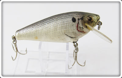 Bagley Shad Small Fry