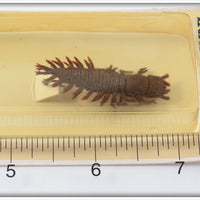 Creme Large Hellgramite On Card