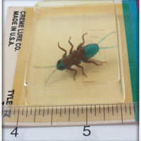 Creme Stone Fly Nymph On Card