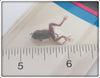 Creme Small Brown Frog On Card